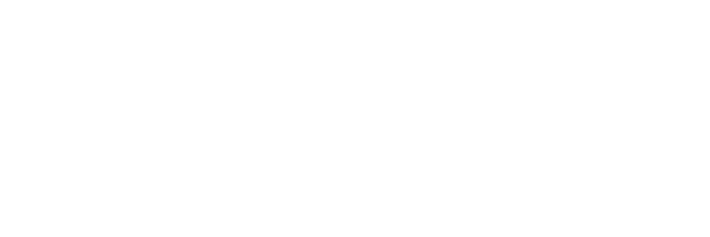 Vector (1) Vector (1)
