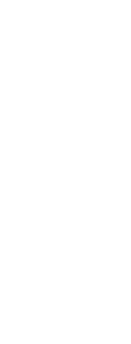 Vector Vector